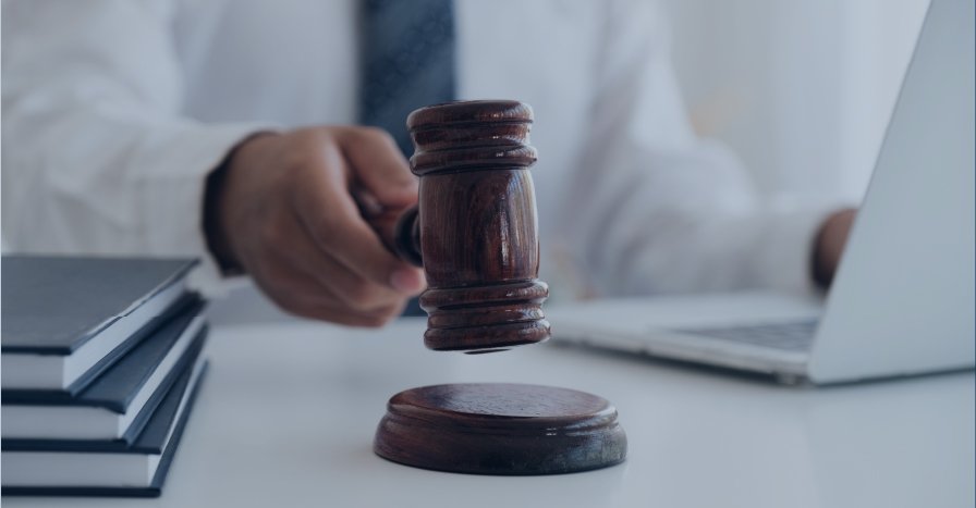 servicio para gobierno